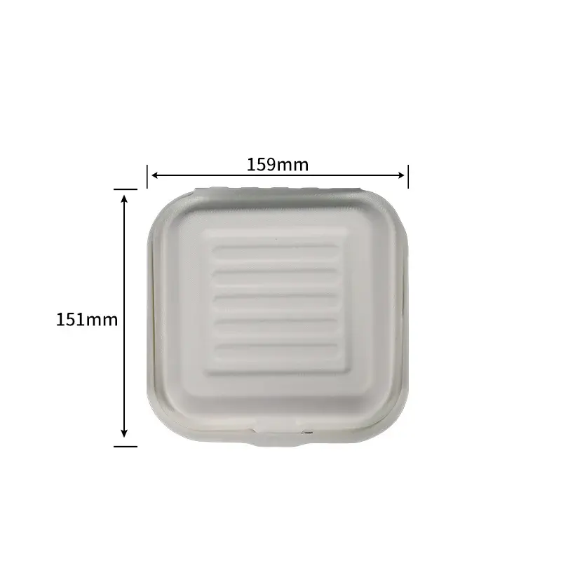 15.2 cm Hamburg Box · chamshell · product image