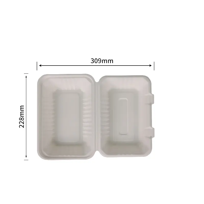 9X6 5.1 cm Clamshell · Sugarcane Clamshells · product image