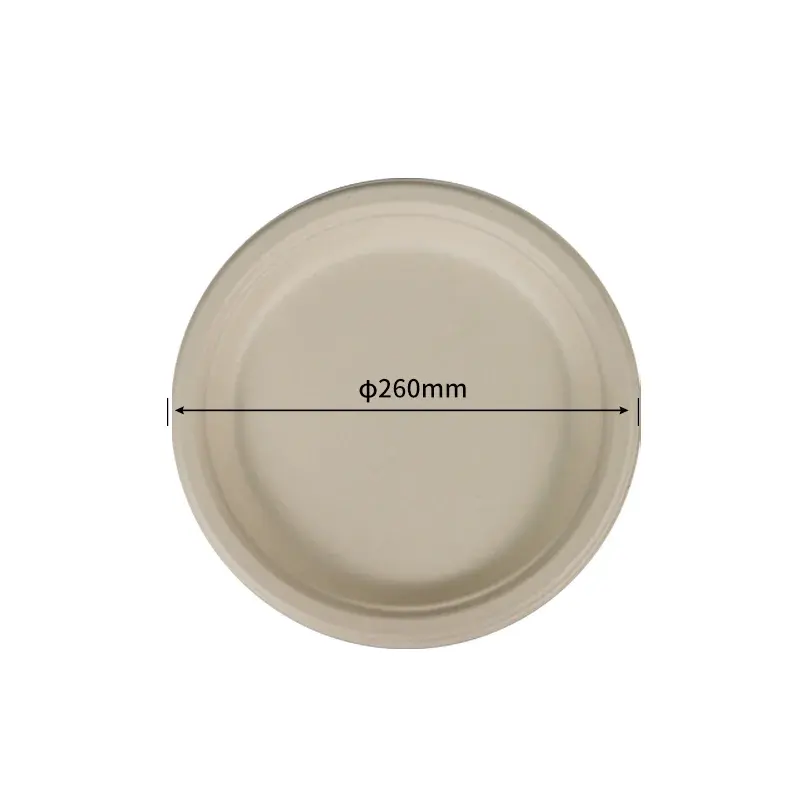 25.4 cm Plate · Sugarcane Plates · product image