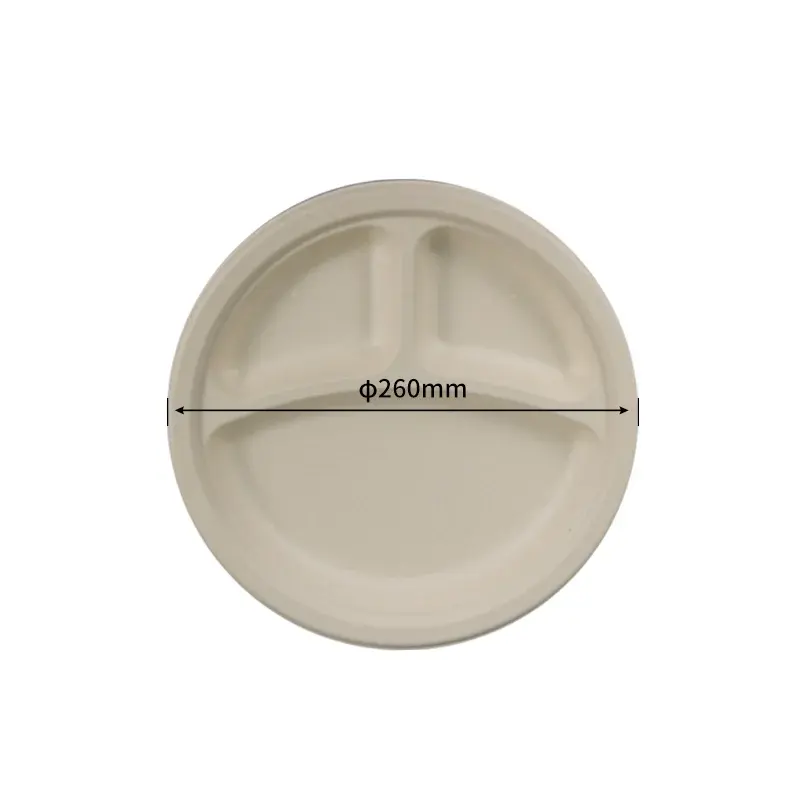 25.4 cm 3 Compartment Plate · Sugarcane Plates · product image