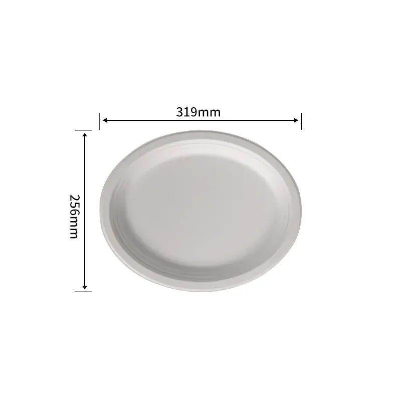 25.4 cm Oval Plate · Sugarcane Plates · product image