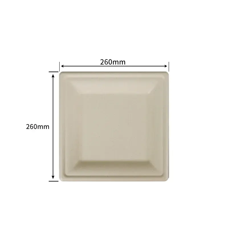 25.4 cm Square Plate · Sugarcane Plates · product image