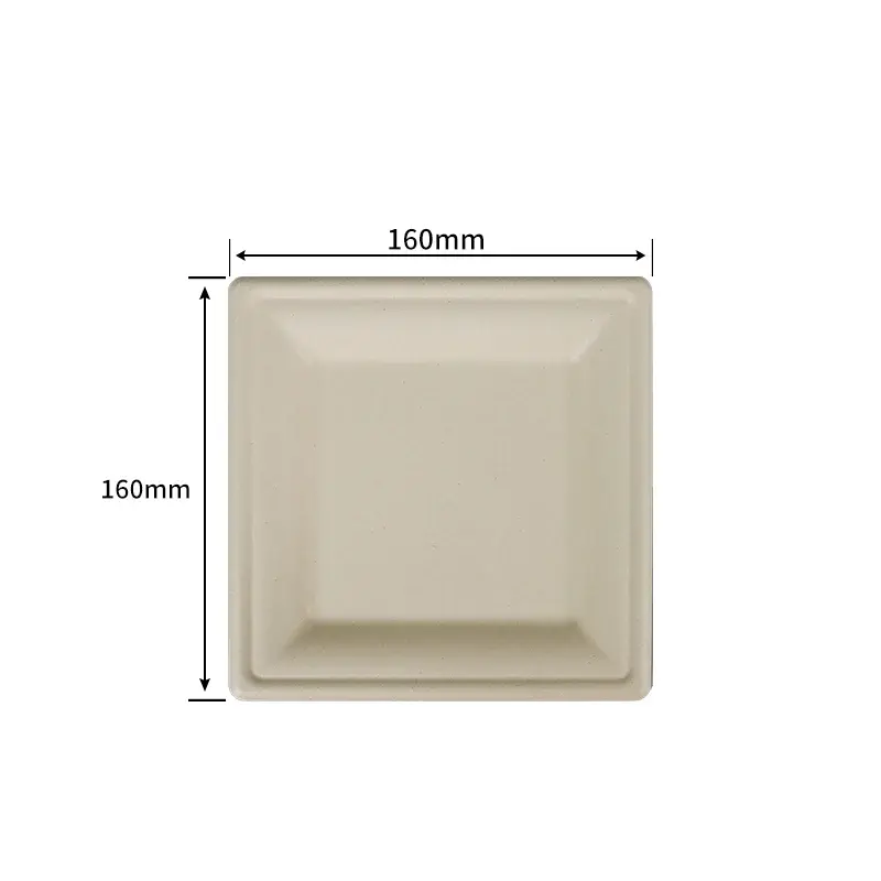 15.2 cm Square Plate · Sugarcane Plates · product image