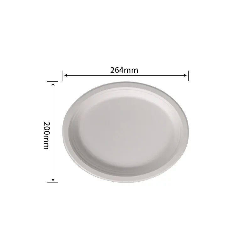 20.3 cm Oval Plate · Sugarcane Plates · product image