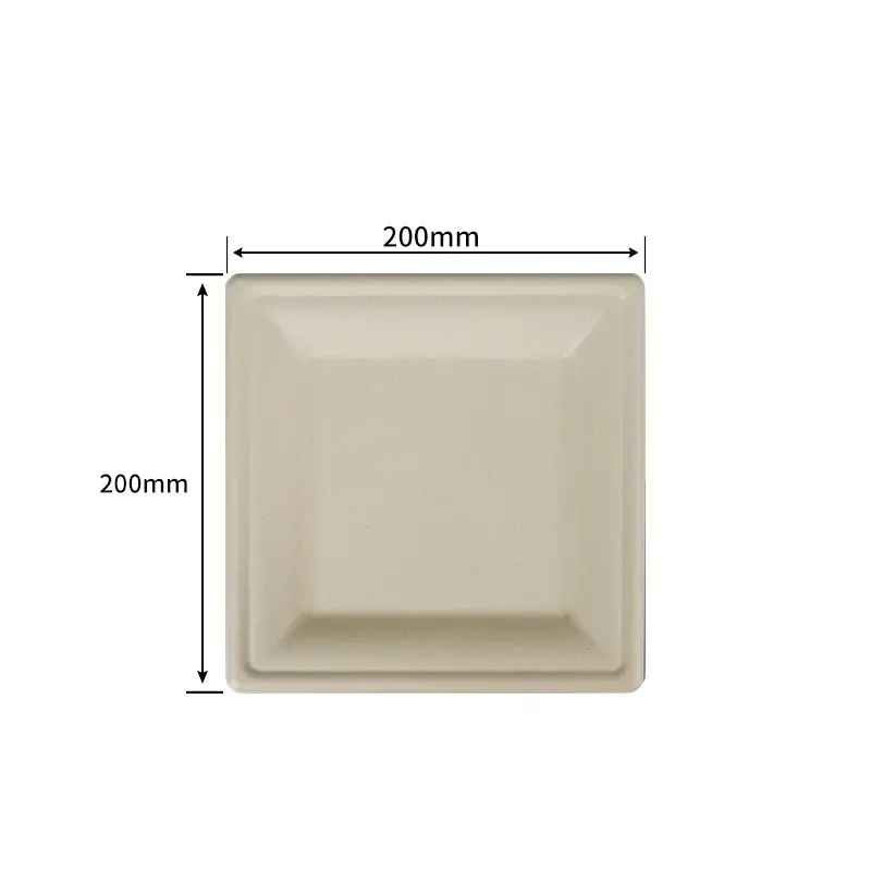 20.3 cm Square Plate · Sugarcane Plates · product image