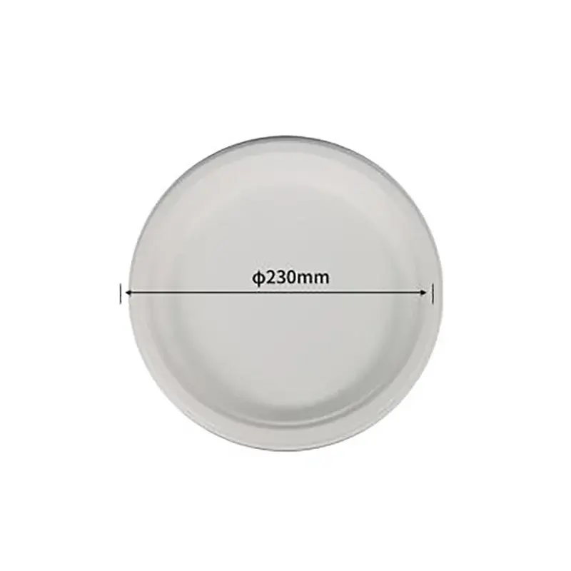 22.9 cm Plate · Sugarcane Plates · product image