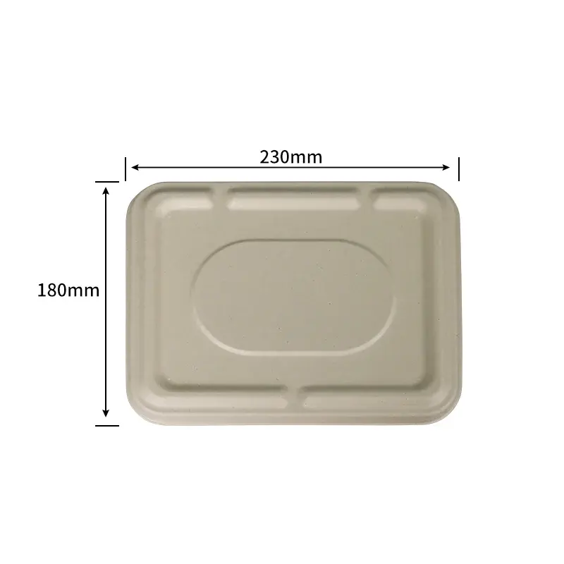 1100ml Universal Tray Lid · Sugarcane Trays · product image